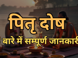 पितृ दोष Pitru Dosh